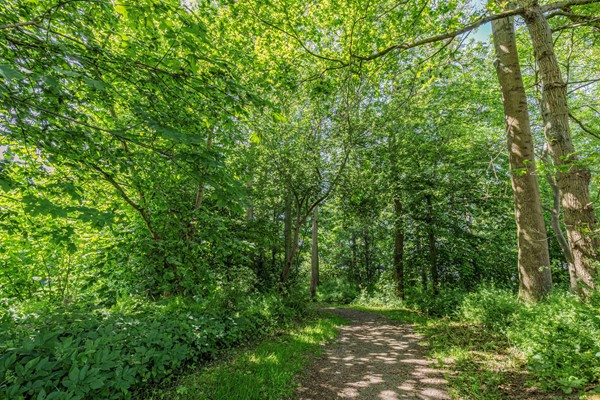 Medium property photo - Meerweg 35A, 8313 AK Rutten